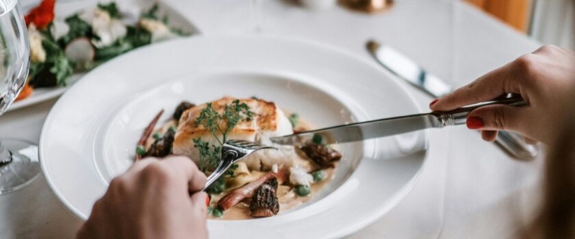 Vlada TK za nove biznise